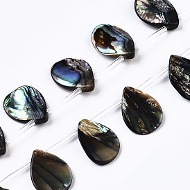 Natural Paua Shell/Abalone Shell Beads Strands, Top Drilled Beads, Teardrop