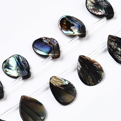 Natural Paua Shell/Abalone Shell Beads Strands, Top Drilled Beads, Teardrop