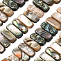 1 brins de perles de coquillage paua naturel, rectangle