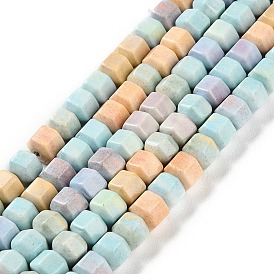 Natural Rainbow Alashan Agate Beads Strands, Dyed, Hexagon