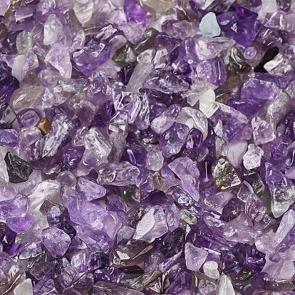 Природный аметист бисер чип, нет отверстий / незавершенного, 3~9x1~4 мм