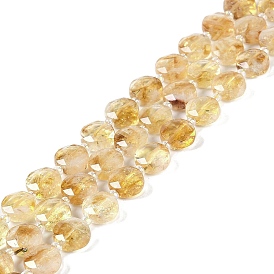 Natural Citrine Beads Strands, with Seed Beads, Faceted Hexagonal Cut, Flat Round