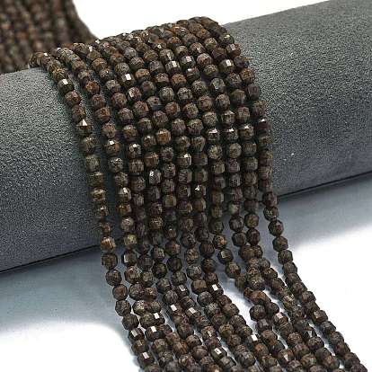 Natural Red Snowflake Obsidian Beads Strands, Energy Prism Cut Double Terminated Point Beads, Faceted Bicone