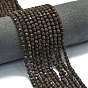 Natural Red Snowflake Obsidian Beads Strands, Energy Prism Cut Double Terminated Point Beads, Faceted Bicone