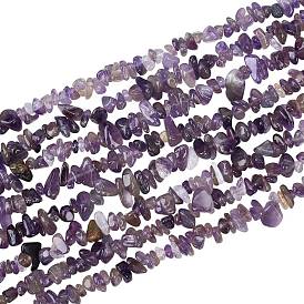 ARRICRAFT Natural Amethyst Chip Beads Strands, Dyed