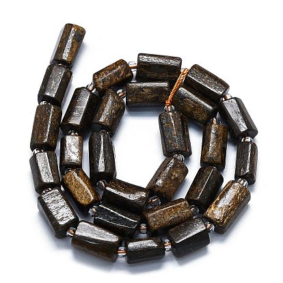 Natural Bronzite Beads Strands, with Seed Beads, Faceted, Column