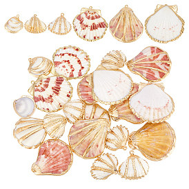 24шт. 6 стили гальванизированные натуральные смешанные подвески из ракушек, с фурнитурой железная и латунная, подвески в форме ракушек, золотые
