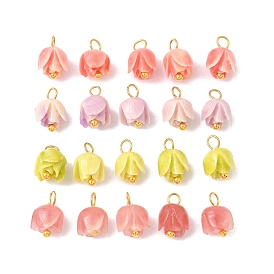 4шт. цветочные подвески, с синтетическими бусинами из ракушек и латунной петлей