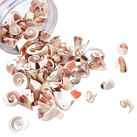 Perlas de pepitas de concha de spril natural