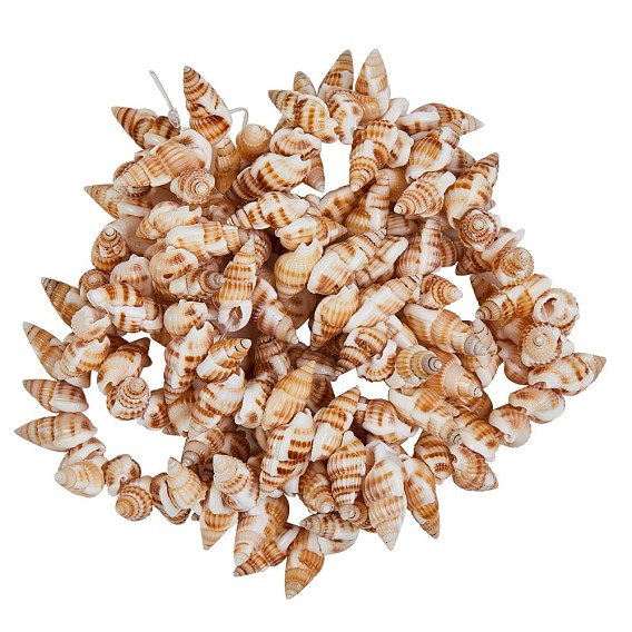 Natural Spiral Shell Beads Strands