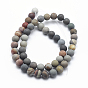 Natural Ocean Agate/Ocean Jasper Beads Strands, Frosted, Round