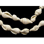 Natural Trumpet Shell Beads Strands