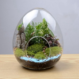Egg-Shaped Glass Vase, Hydroponic Succulent Micro-Landscape Glass Bottle, Moss Home Decoration