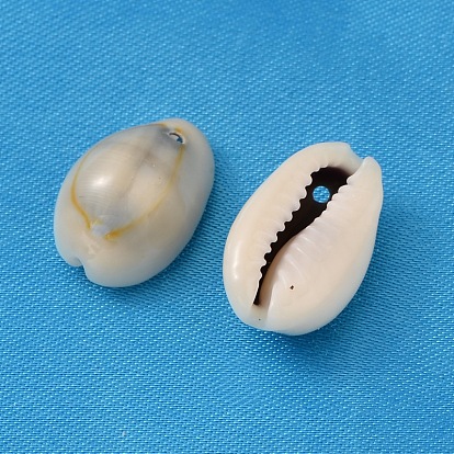 Natural Cowrie Shell Pendants, Shell Shaped Charms