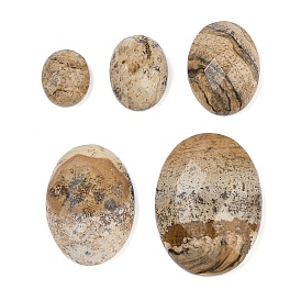 Natural Picture Jasper Cabochons, Oval