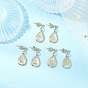 3Pcs Brass Natural Paua Shell Teardrop Dangle Stud Earrings