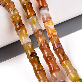 Natural Agate Beads Strands, Bamboo Joint, Dyed & Heated