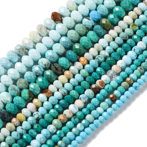 Природные Говлит бисер нитей, окрашенные, граненые, рондель