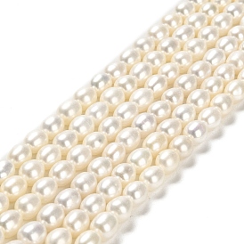 Natural Cultured Freshwater Pearl Beads Strands, Rice, Grade 6A+