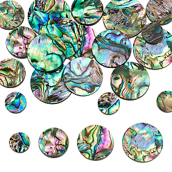 20pcs 4 styles cabochons en coquillage d'ormeau naturel/coquillage paua, avec de l'acrylique, plat rond