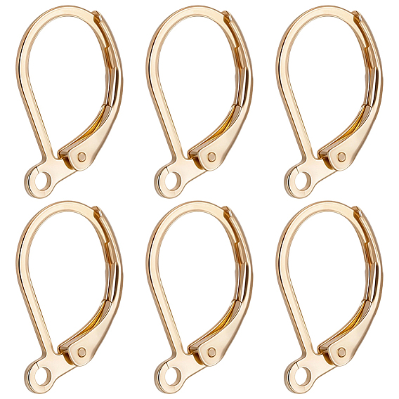 100Pcs 316L Surgical Stainless Steel Leverback Earring Findings, with Loops