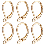 100Pcs 316L Surgical Stainless Steel Leverback Earring Findings, with Loops