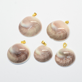 Shell pendentifs fossiles, avec les accessoires en laiton