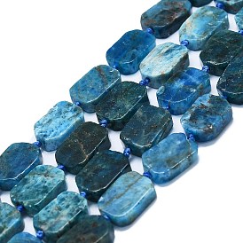 Natural Apatite Beads Strands, Rectangle