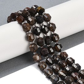 Natural Bronzite Beads Strands, Faceted, Bicone, Double Terminated Point Prism Beads