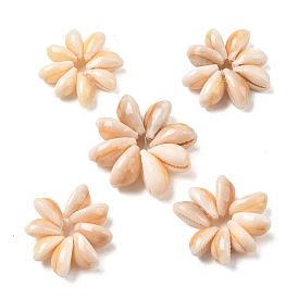 Cuentas de conchas de cauri naturales, flor, superior perforado