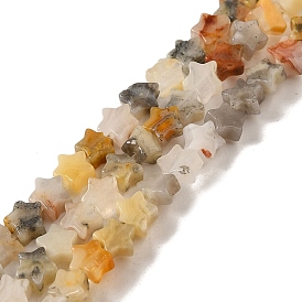 Natural Crazy Lace Agate Beads Strands, Star