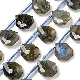 Natural Labradorite Beads Strands, Top Drilled, Teardrop, Faceted