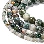 Natural Tree Agate Beads Strands, Round