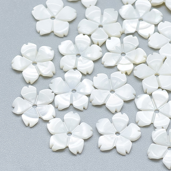 Freshwater Shell Beads, Flower