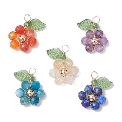 5 pcs 5 styles améthyste naturelle & lapis lazuli & apatite & citrine & cornaline pendentifs ronds à facettes, breloques fleurs avec feuille acrylique