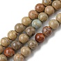 Natural Aqua Terra Jasper Beads Strands, Impression Jasper, Round