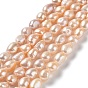 Natural Cultured Freshwater Pearl Beads Strands, Two Side Polished, Grade 3A