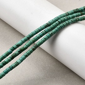 Природные Говлит бисер нитей, окрашенные, диск, Heishi бусы