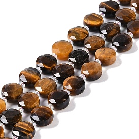 Natural Tiger Eye Beads Strands, with Seed Beads, Faceted Hexagonal Cut, Flat Round