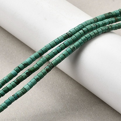 Природные Говлит бисер нитей, окрашенные, диск, Heishi бусы