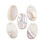 Овальная пресноводных оболочки подвески, 24x14x2 мм, отверстие : 1 мм