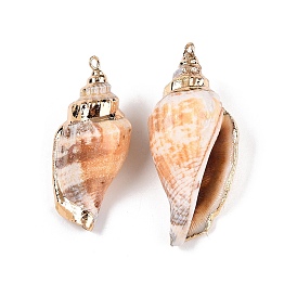 Natural Conch Shell Big Pendants, Shell Shaped Charms with Golden Tone Iron Loops