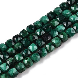 Natural Malachite Beads Strands, Faceted, Cube