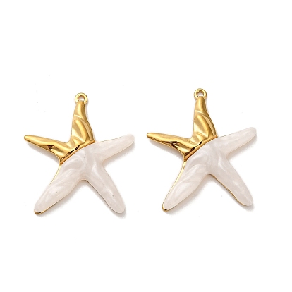 304 подвески из нержавеющей стали, звезда, с акриловой, ионное покрытие (ip)