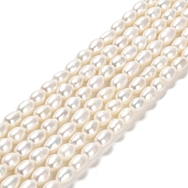 Natural Cultured Freshwater Pearl Beads Strands, Rice, Grade 6A