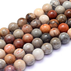 Natural Red Fossil Coral Beads Strands, Round