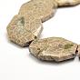 Natural Fossil Coral Beads Strands, Faceted, Oval