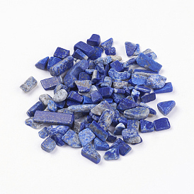 Natural Lapis Lazuli Beads, No Hole/Undrilled, Chips