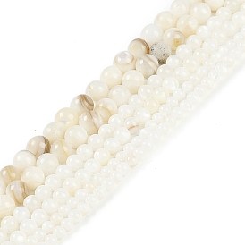 Natural Freshwater Shell Beads Strands, Round