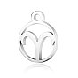 201 Stainless Steel Charms, Flat Round with Constellation